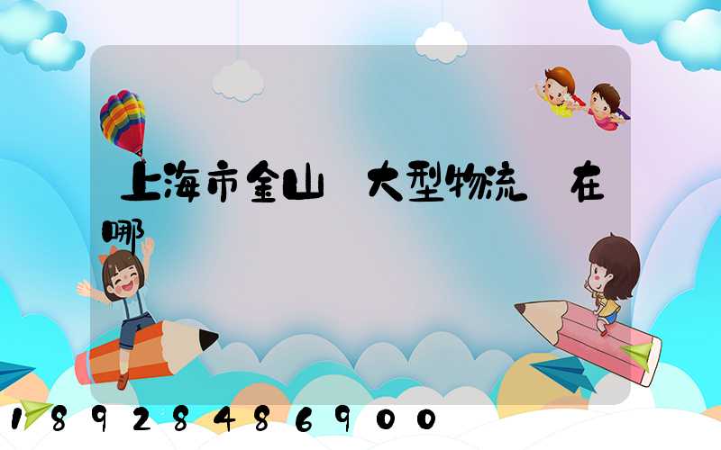 上海市金山區大型物流園在哪