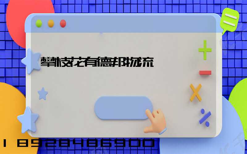 攀枝花有德邦物流嗎