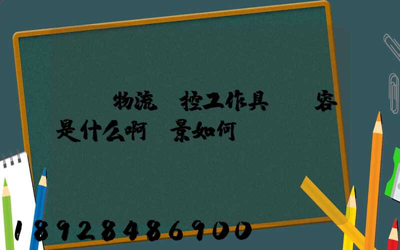 請問物流監控工作具體內容是什么啊前景如何
